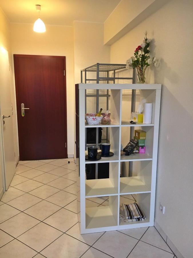 Cozy Studio Apart - King Bed - Netflix - Projector - Fast Wi-Fi Luxemburg Exterior foto